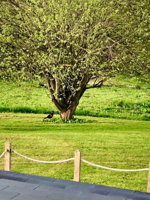 Cosy Farmhouse Escape In Monmouthshire Villa Wolves Newton Exterior photo